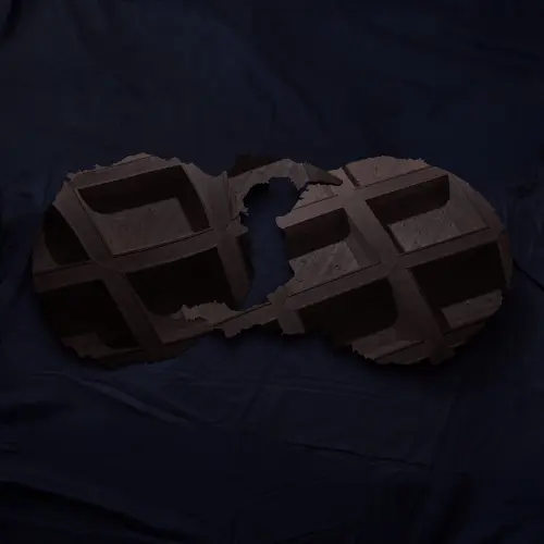 Dirty Projectors by Dirty Projectors