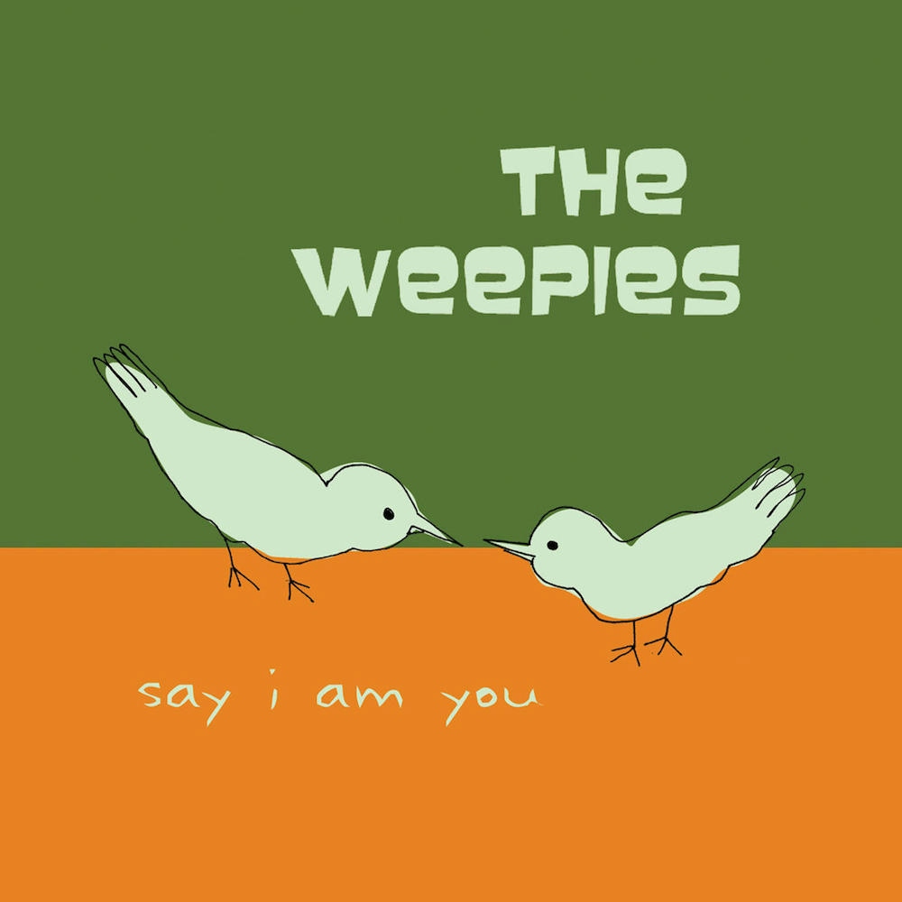 Say I Am You by The Weepies Background Cover